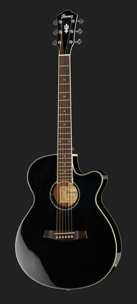 Ibanez AEG10II